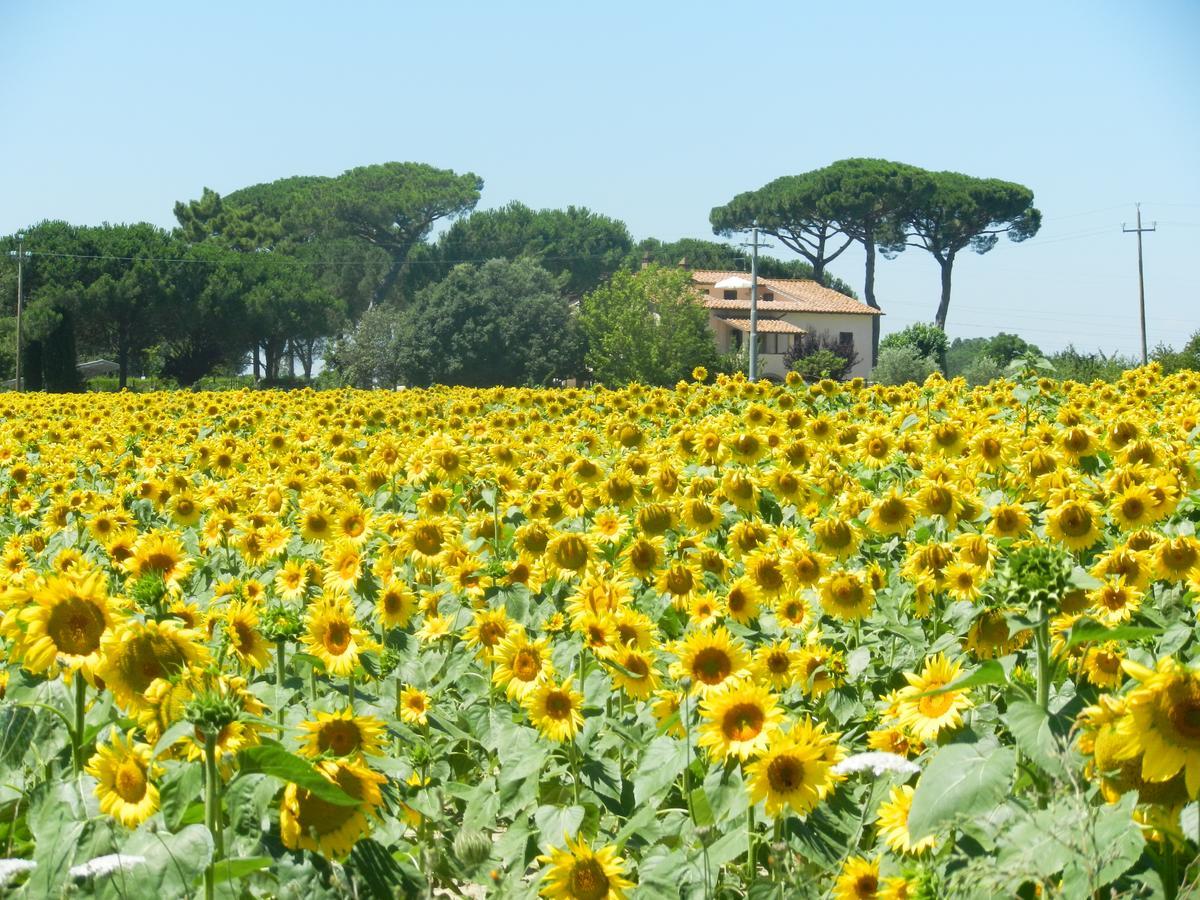 Boschetto Del Lago Castiglione del Lago Eksteriør bilde